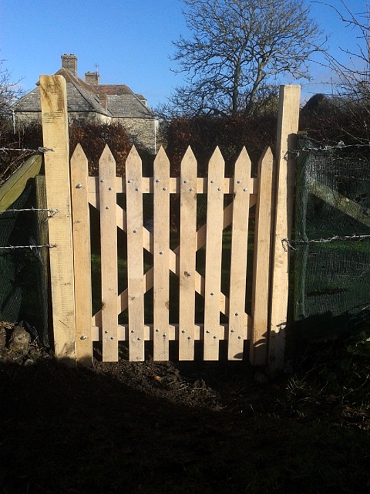 Sturdy Garden Gate